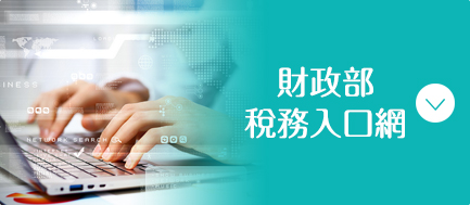 電子稅務文件入口網
